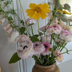 Meet your Posher, Heidi